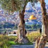 Фото профиля Muhammad Moustafa