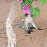 Dance-onkariuki profil fotoğrafı
