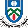 Brian MacMathghamhna's profile picture