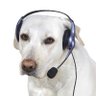 GamerDog's profile picture