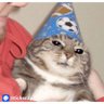 ccaminante's profile picture