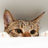 Фото профиля animalfanz