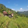 Petani on the Way 的头像