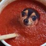 DiddySauce 的头像