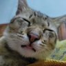 seungseuka's profile picture