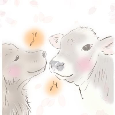 sdfkaori's profile picture