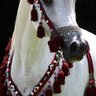 Фото профиля Jamilah