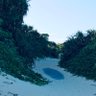 かおり✋🌊 profil fotoğrafı