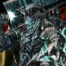 ストラ 的头像