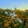 Champagne Air's profile picture