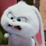 Seed 🦊🍅 profil fotoğrafı