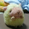 Фото профиля ネムネム🐑💤
