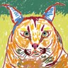 Bad Cat Allergies 的头像