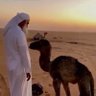 Profilbild von (hamad)