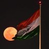 Iamamrohvi's profile picture