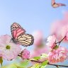 بصمة | bssma's profile picture