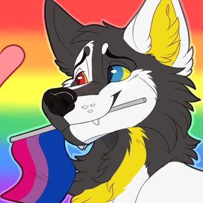 🐺Yin🐺's profile picture