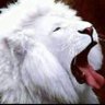 @M_kb's profile picture
