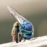 Фото профиля Lee Manvell