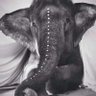 🐘💜Marta Rodríguez💜🐘 profil fotoğrafı