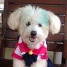 Focus's profile picture