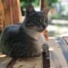 Фото профиля Özlem Köse