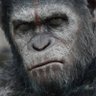 🦅Adeniyi🦍 profil fotoğrafı