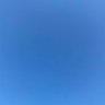 肥美多汁大韭菜's profile picture