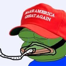Right Wing Cope's profile picture