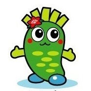WPUiaQePzhbgcli's profile picture