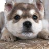 Фото профиля Colin