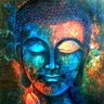 Rohit's profile picture