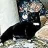Petrov profil fotoğrafı