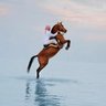 الراقي's profile picture