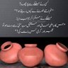 Фото профиля جمہوریت پسند
