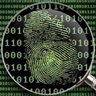 Crypto Novice profil fotoğrafı