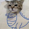 mamanslebor's profile picture