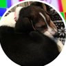 Killerman128's profile picture
