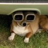 calib3r 的头像