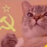 RedRuby's profile picture