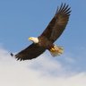Cemal Tarık's profile picture