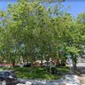 Фото профиля SaveOaklandParks