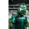 Alexandre โ's profile picture
