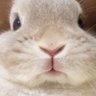 hahaha's profile picture