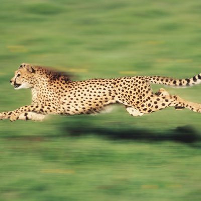 Mitesh Patel's profile picture