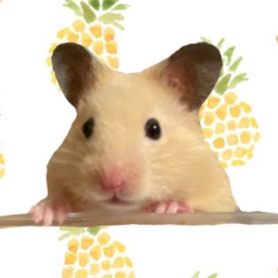 milkpurin_20's profile picture