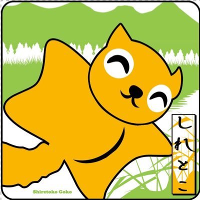 知床SOT！(そっと)〜知床での楽しいガイドツアー's profile picture