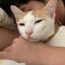 bobby's profile picture