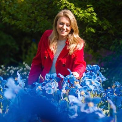 Kirsty Wilson's profile picture