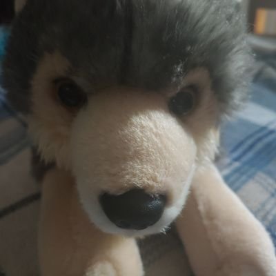 AvAbeardog's profile picture